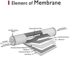 element of membrane