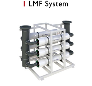LMF system